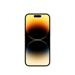 Apple iPhone 14 Pro eSIM+eSIM 1024GB, золотой— фото №1